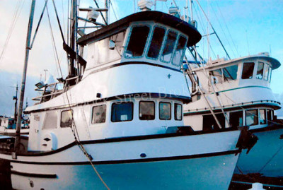 Purse Seine Fishing Boat For Sale Application: Electronic at Best Price in  Bengaluru