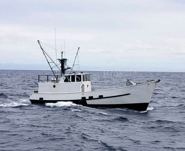 Hot sale 2 Speed 80W heavy duty Boat Saltwater Ocean Tuna Full