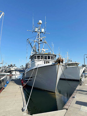 SE25-009-3