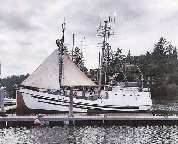 LL25-004-1