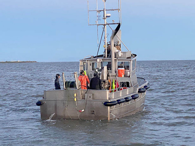 BB25-035-2