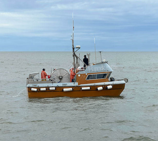 BB25-043-17