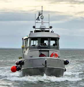 BB26-035