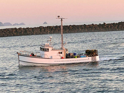 TR26-014