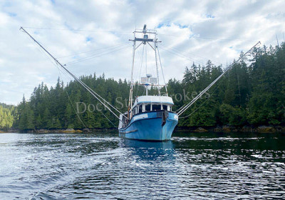 TR26-009